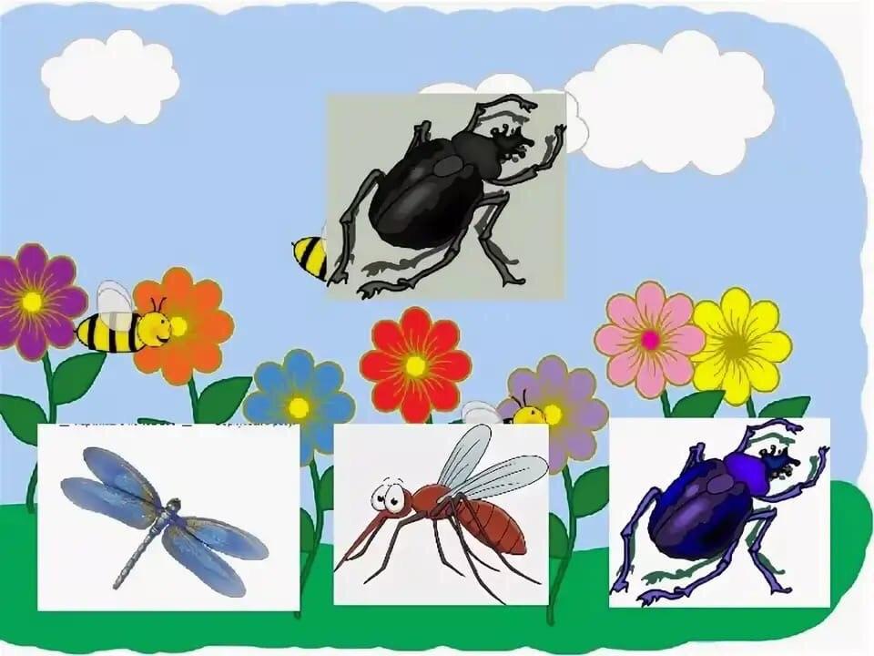 Игры насекомые старшая группа