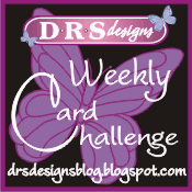  D.R.S. Design Challenge