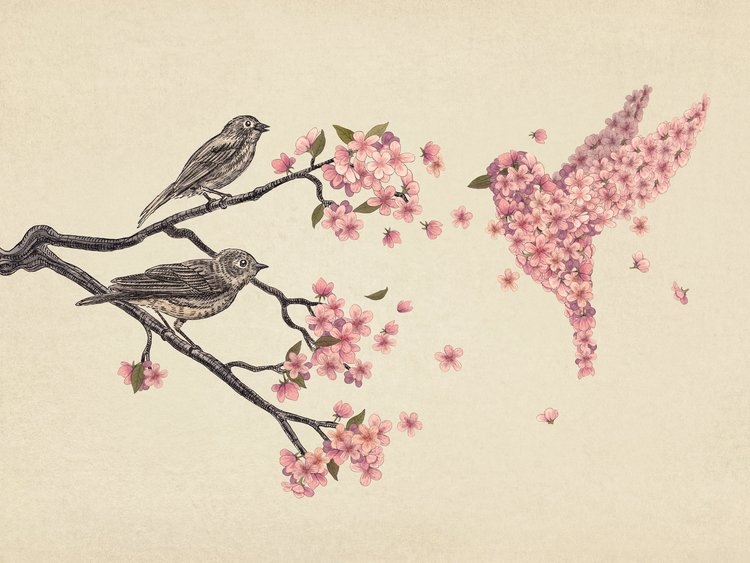 05-Blossom-Bird-The-Fan-Brothers-Surreal-Illustrations-www-designstack-co