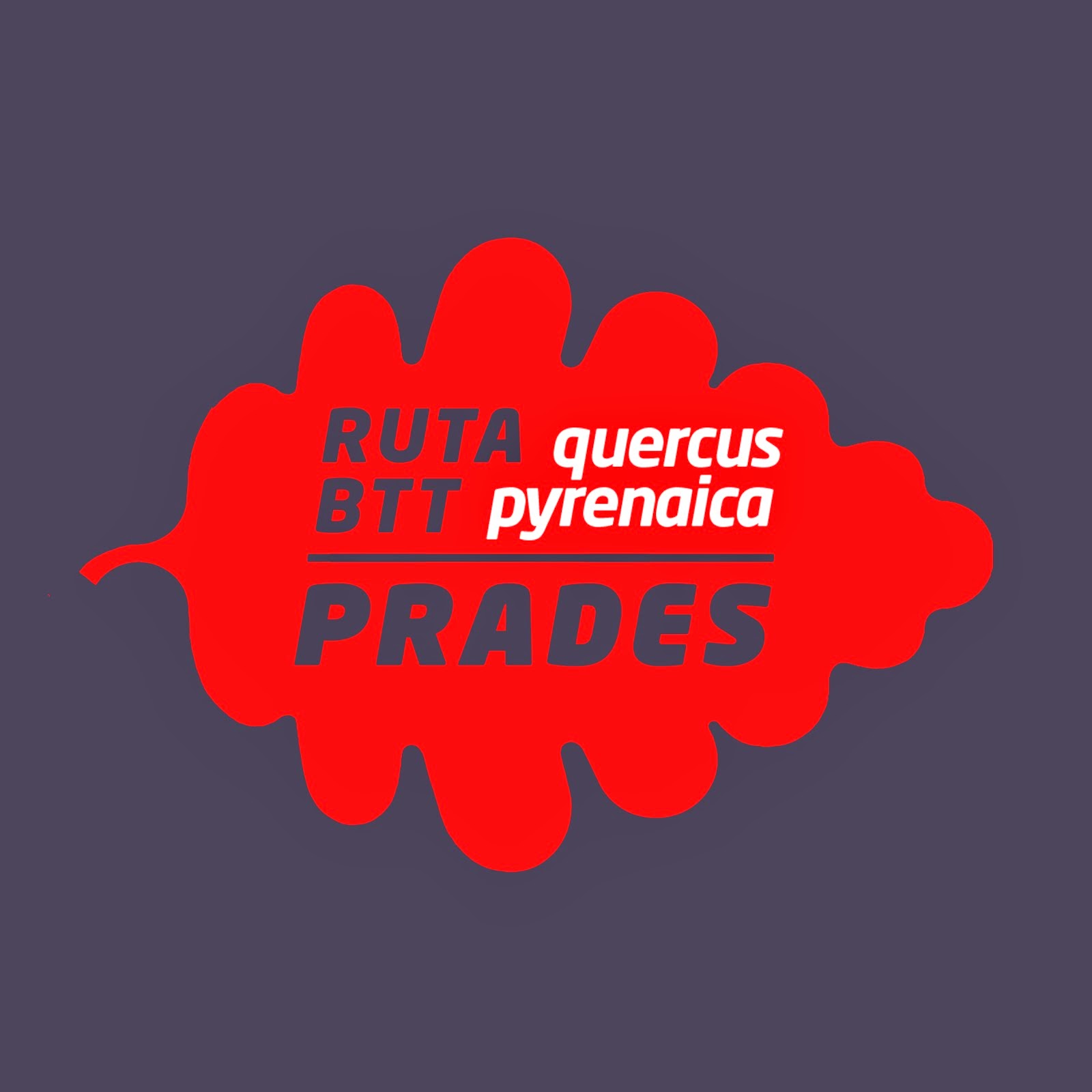 RUTES BTT PER PRADES