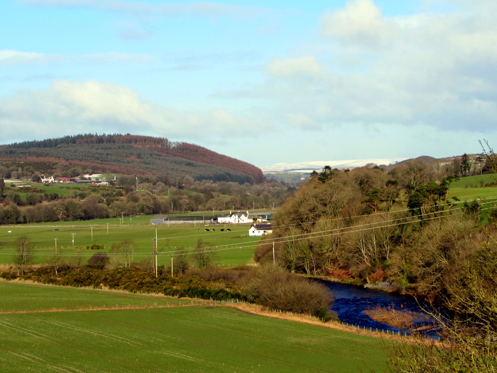 The Glebe Blog Wigtownshire RamblersSt Helena IslandGlenluce Abbey January 2015