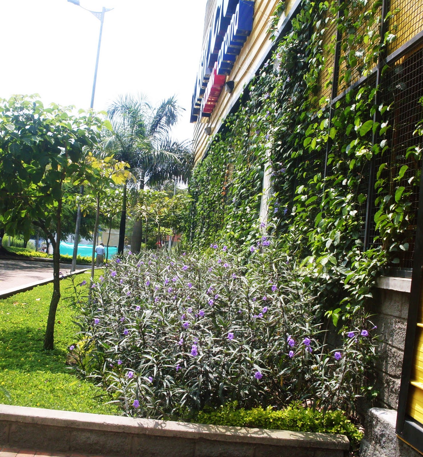 LOTOS PAISAJISMO - MEDIO AMBIENTE: Paisajismo vertical