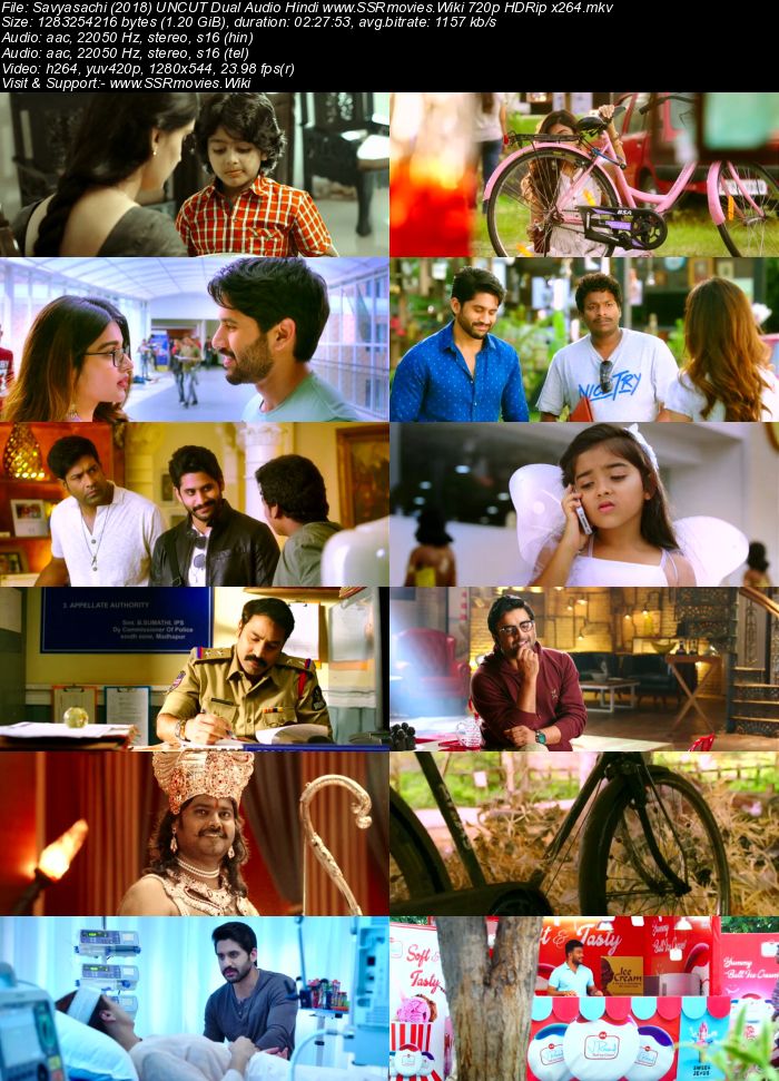 Savyasachi (2018) UNCUT Dual Audio Hindi 480p HDRip x264 450MB Movie Download