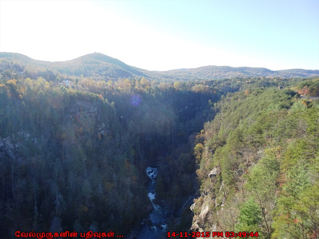 Tallulah’s Stunning Gorge Rim Views