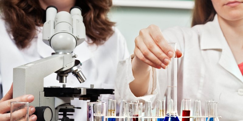 Manfaat Ilmu Biologi Dalam Berbagai Bidang Website Pendidikan