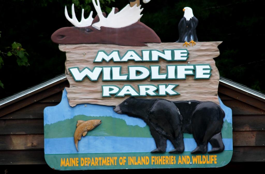 White Cedar Inn Today Maine Wildlife Park