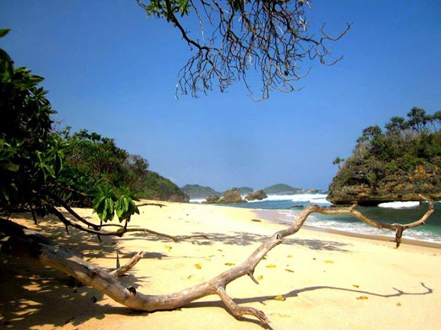 24 Destinasi Wisata Pantai di Malang Untuk Liburan Akhir Tahunmu