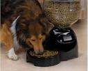 Un dispensador de comida para perros Un dispensador de comida para perros