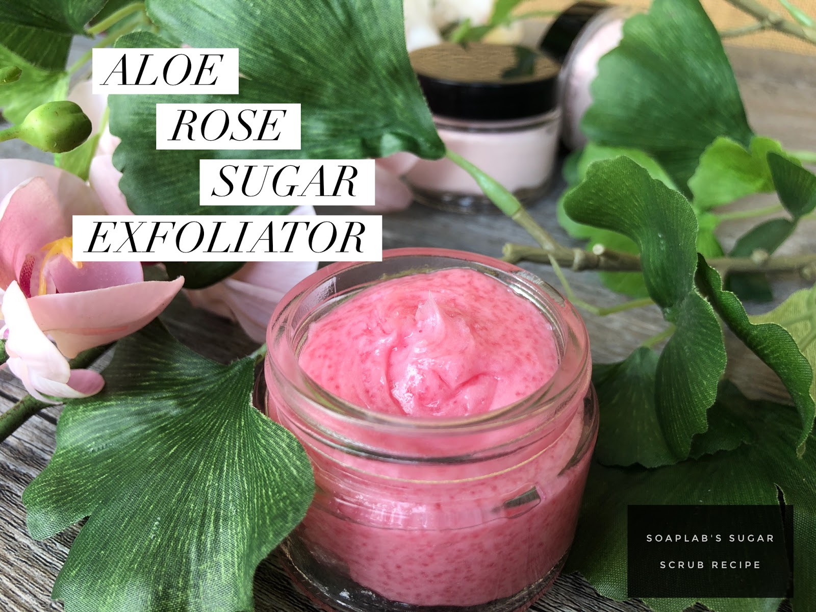 SoapLab Malaysia Aloe Rose Soother Skin Exfoliator (Sugar Scrub) DIY
