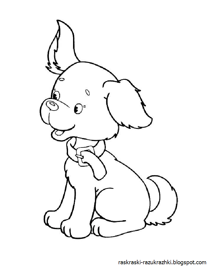 Собачка Раскраска Для Детей 3 4