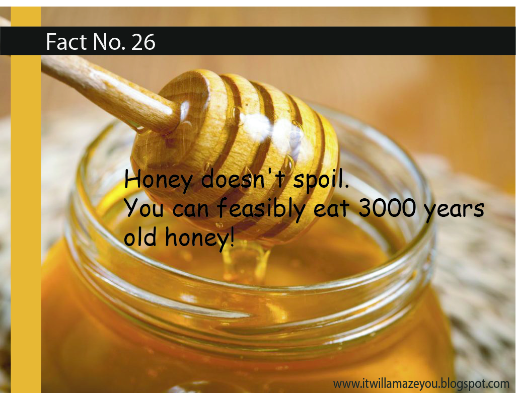 Amazing Facts About Everything