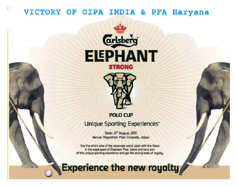 Say No to Carlsberg Elephant beer - Elephant polo