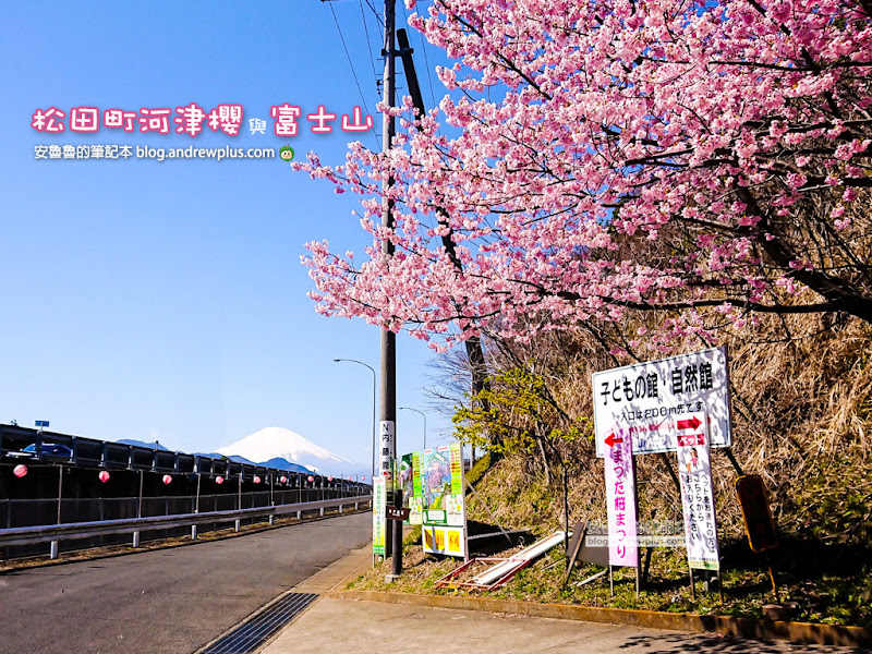 日本,神奈川,西平畑公園,松田站,櫻花,賞櫻,富士見百景,富士山,小火車,鐵路,博物館