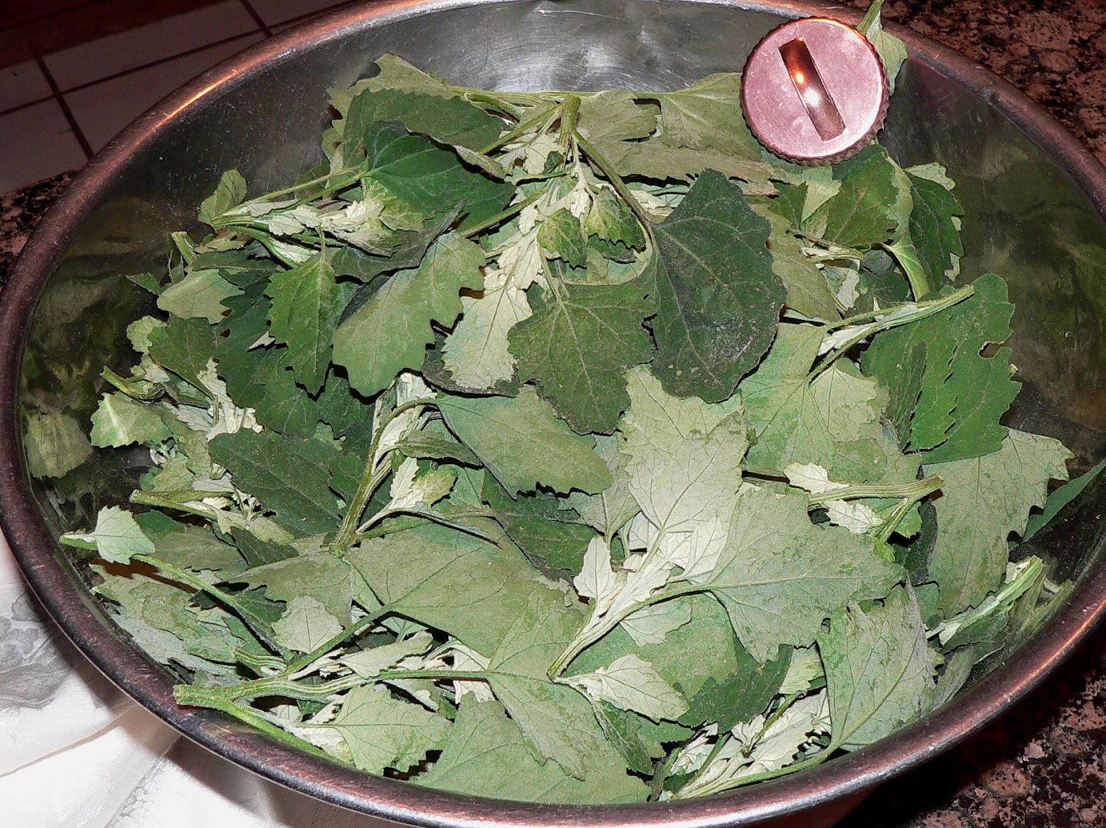 ORGANIC IN ST. LOUIS LAMB'S QUARTERS A HEALTHY CHOICE