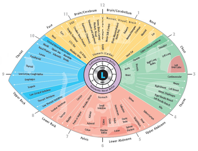 iridology definition