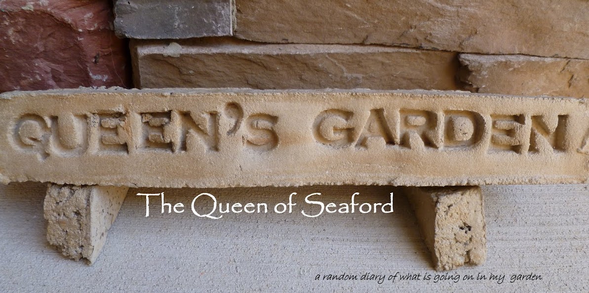 The Queen of Seaford