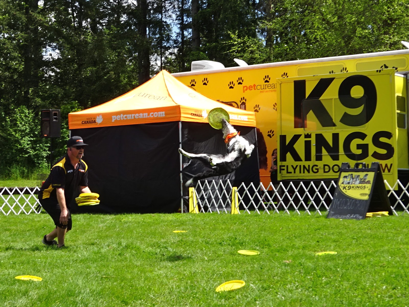 キットと歩こ シアトル いろいろ ストリート ホームレスからスターに