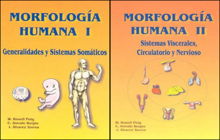 Anatomia Quiroz Pdf Descarga