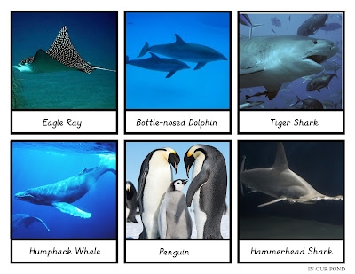 SEA ANIMALS Matching LASER Print 3-Part Card Small Animals Laminate Homeschool 