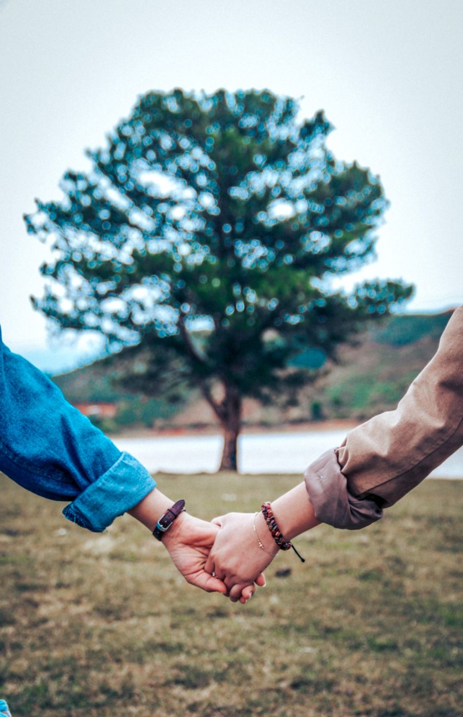 Hand Holding Couples Latest Hd Wallpapers Free Download