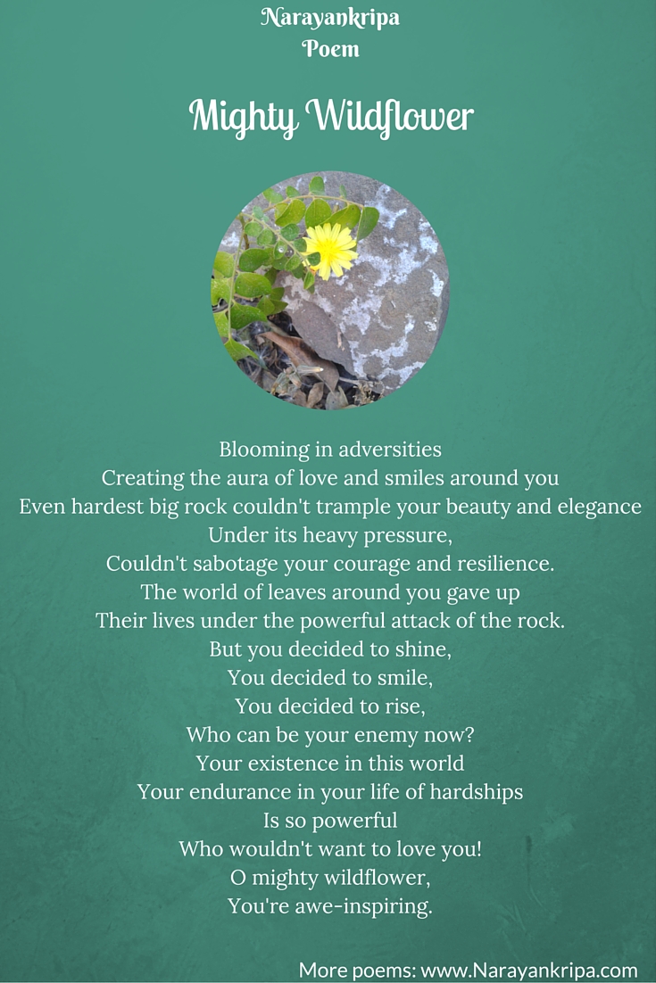 Narayankripa Poem Mighty Wildflower