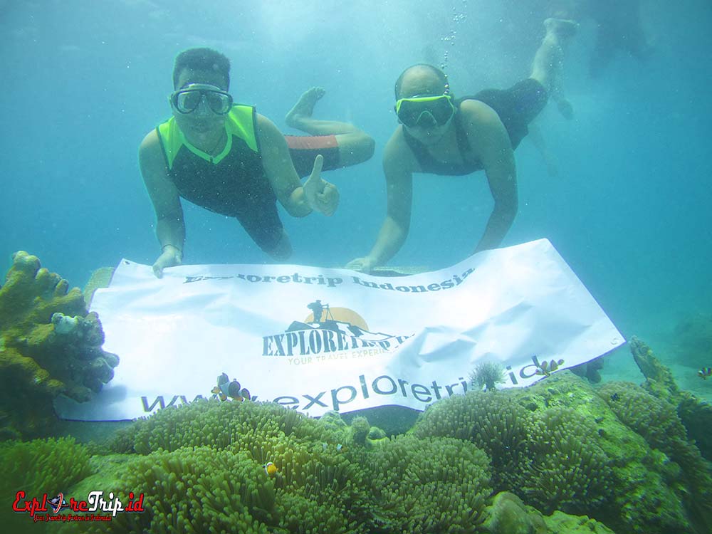 Pengalaman Tempat Wisata Snorkling Probolinggo
