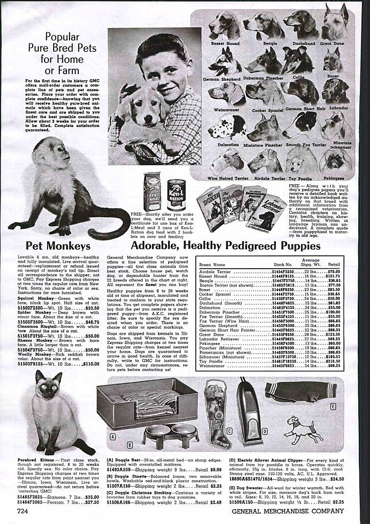 Andy's World Vintage Pet Monkey Advertisements