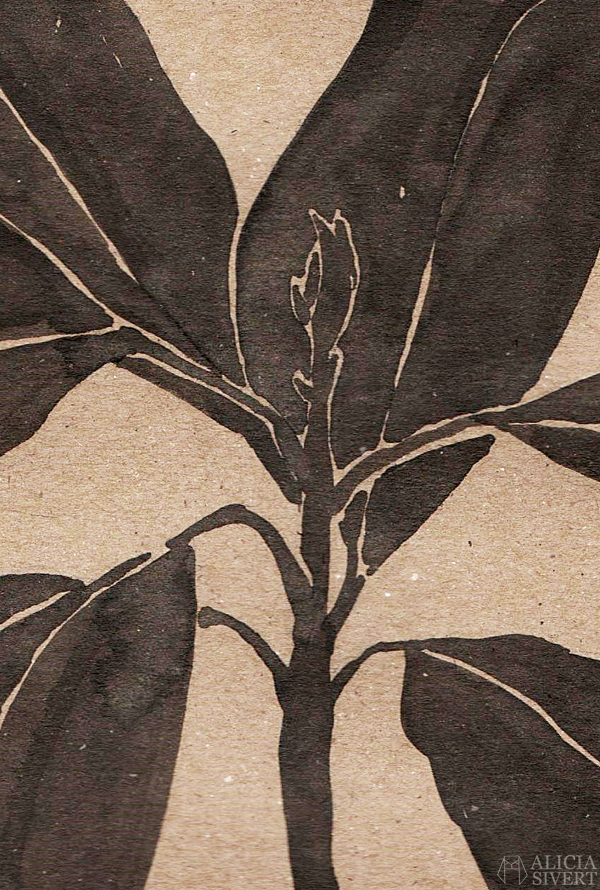 Avocado plant, ink study by Alicia Sivertsson. aliciasivert alicia sivert alicia sivertsson monthly makers växter juni tema 2016 skapa skapande kreativitet utmaning blogg bloggutmaning måla bläck växt blommor paint painting ink flowers flower create make art craft handicraft avocado tree plant planta avokadoplanta avokadoträd avokado träd planta
