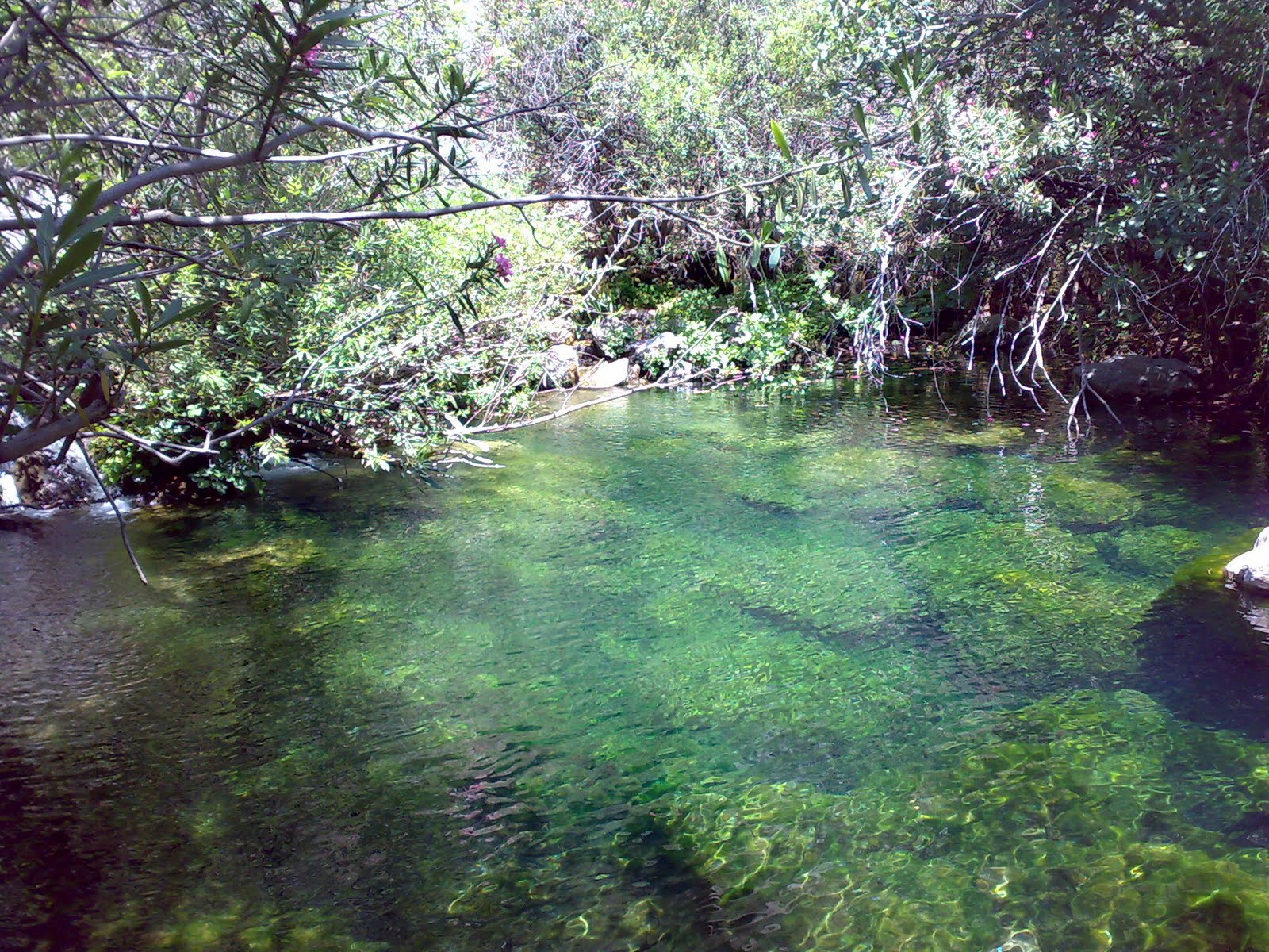 Itinerariun Ruta del Nacimiento del Rio Grande ( Parque Natural de La