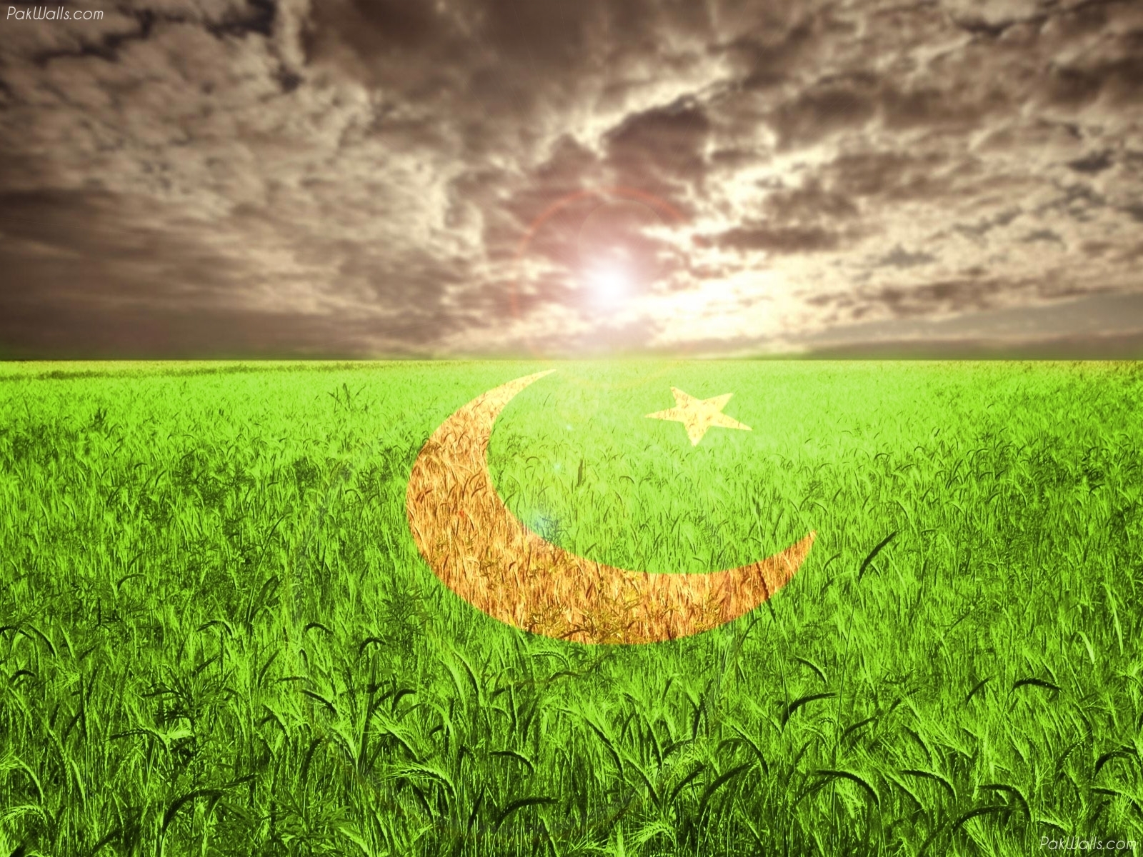 Pakistan Flag Wallpaper 100203 Pakistan Flag Facebook Covers Happy 14