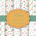 Kit digital Vilma gratis