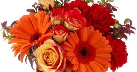 Happy New Year message in english | Happy new year greetings, E Cards