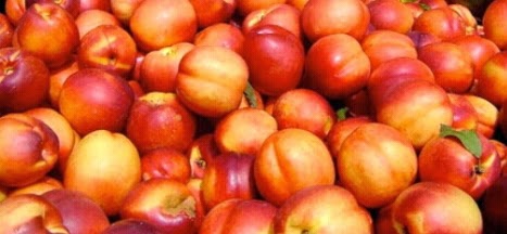 Perbedaan Buah Plum, Peach Dan Nectarine
