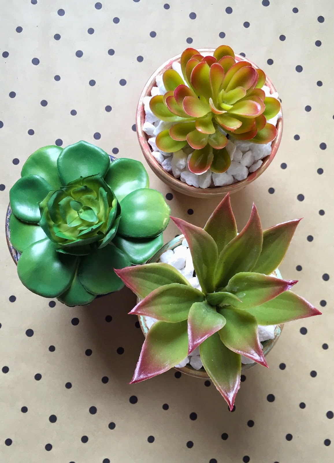 Australian ceramics Tumblr posts - Tumbral.com