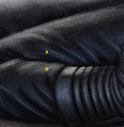 But if you apply that very same black in a transparent fashion over a white . black 