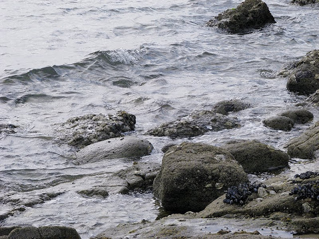 Le ressac sortie nature en bretagne