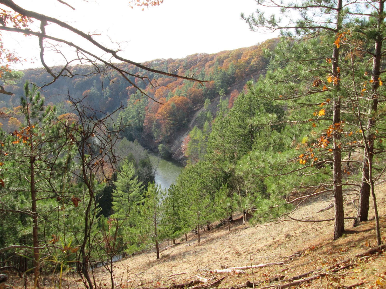 Photodump High Rollaways / The United States of Becky