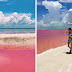 Naturally Pink Lagoon in Mexico Is The Most Instagram-Worthy Place To Be