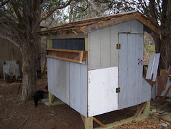 chicken coop update flap raincrow song