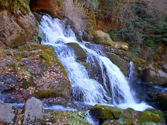 LES FONTS DEL LLOBREGAT