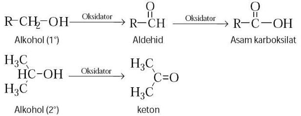 Kimia Organik Alkohol