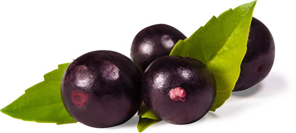 Download It Has Grown On Me 2 Hawaii Limited Edition Lululun Facial Sheet Masks PSD Mockup Templates