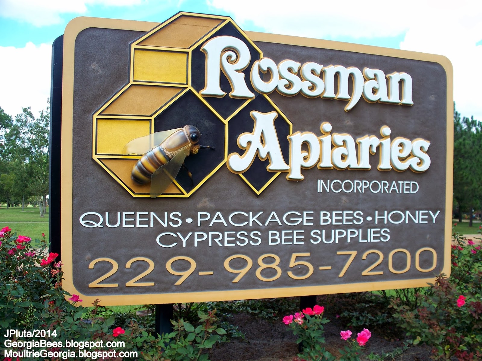 BEEKEEPING Beekeeper Honey Bees Pollen Wax Candle Propolis Queen Nuc