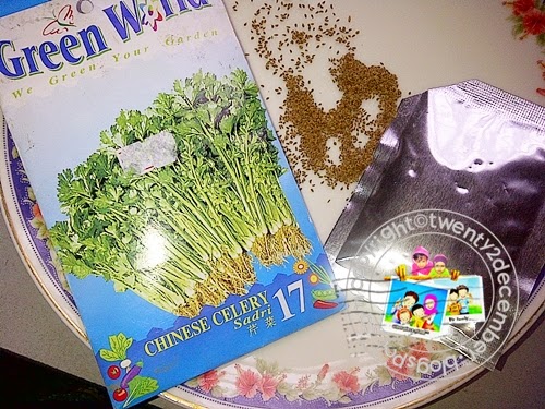 twenty2december™ Bercucuk tanam Daun Saderi