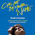 Book Review Sample - Call Me By Your Name
