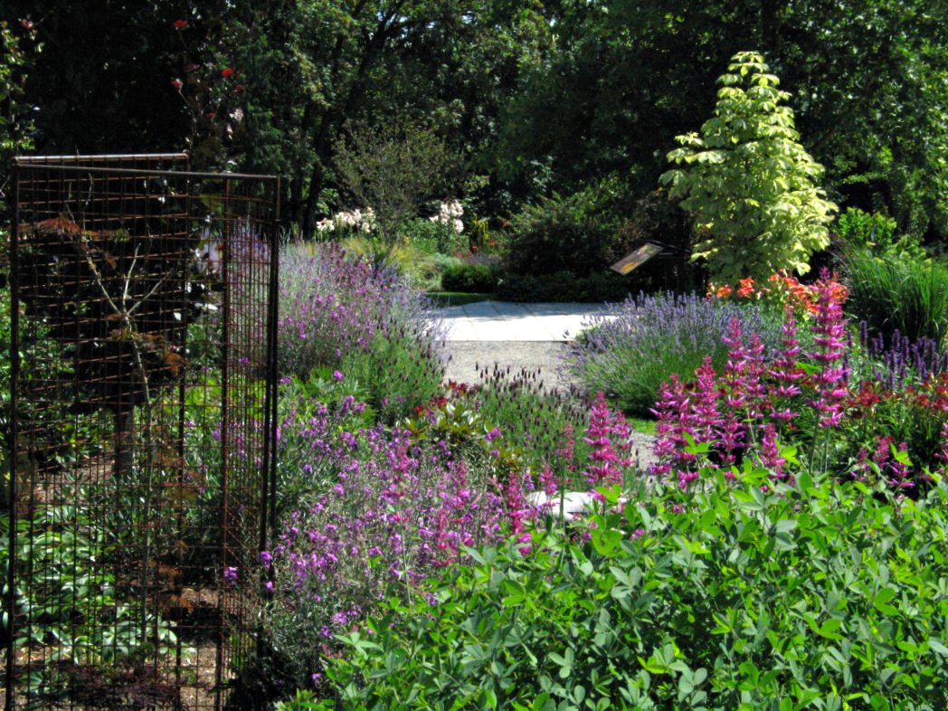 Idyll Haven: Bellevue Botanical Garden