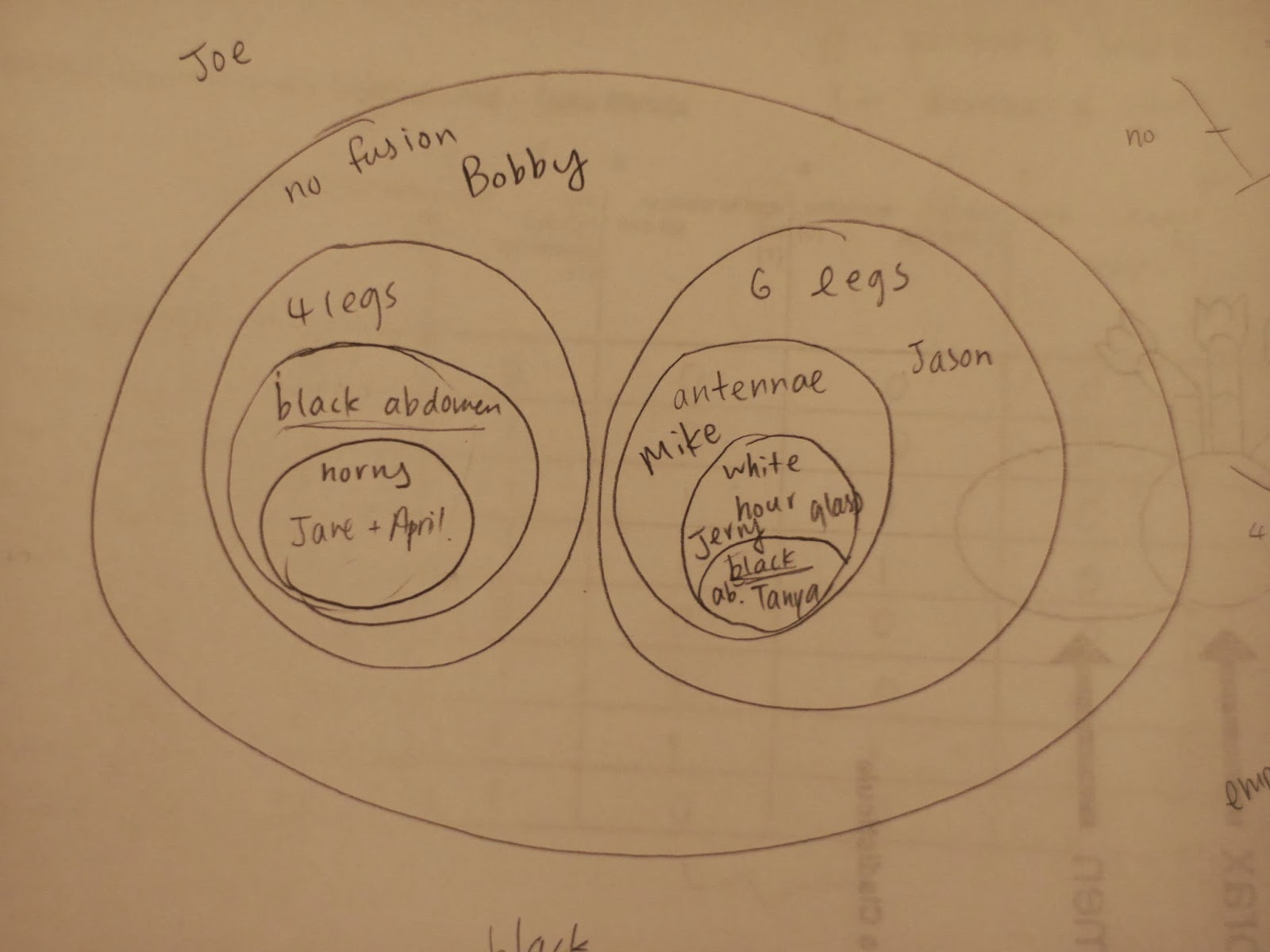 Peggy's Intern Diary: Cladisticules