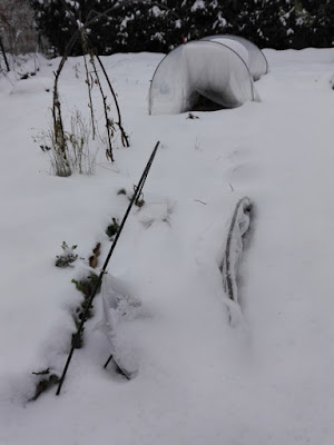 Orto biologico: la neve fa parte del ciclo Orto biologico: la neve fa parte del ciclo