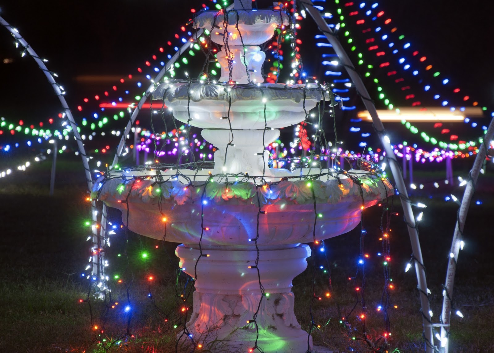 Photos by Patty Stefan Christmas in Port Charlotte