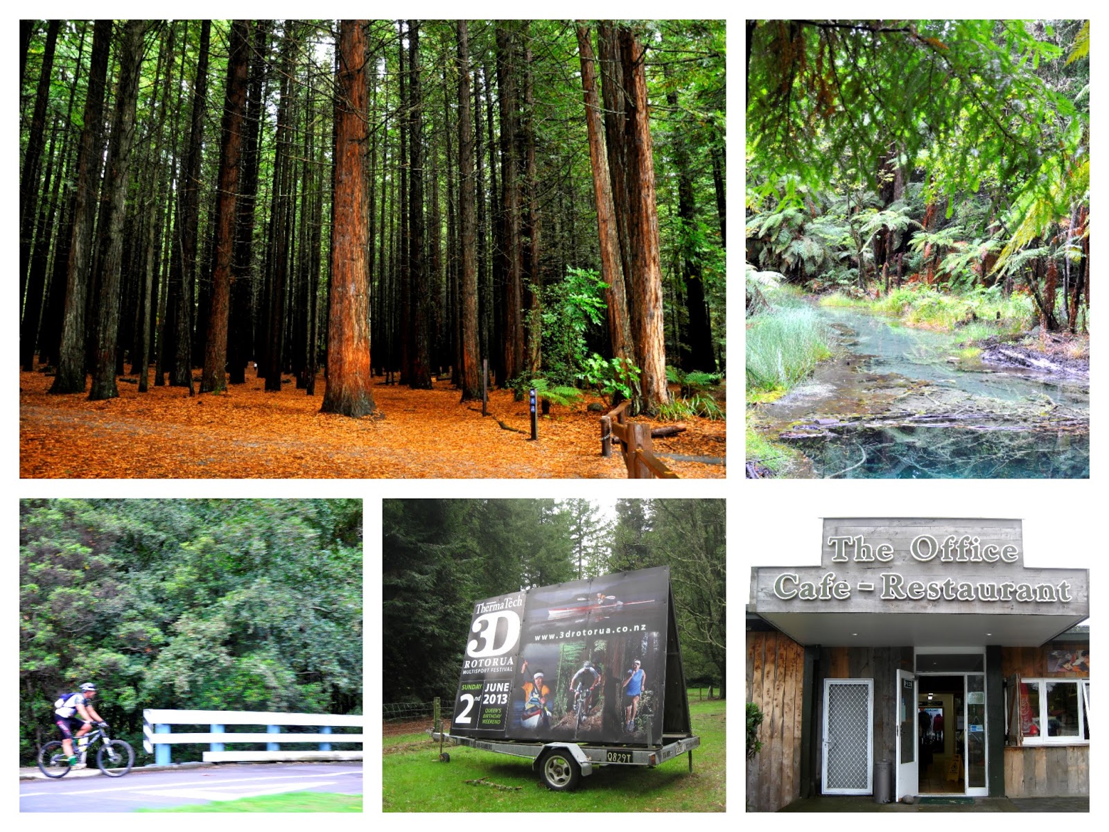 Rotorua MALFROY Motor Lodge Rotorua New Zealand Things